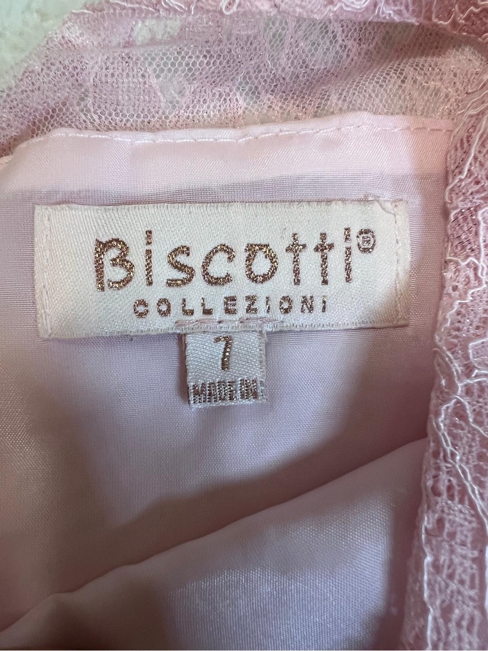 Biscotti Dusty Pink Lace & Tulle Party Dress - Picture 4 of 4